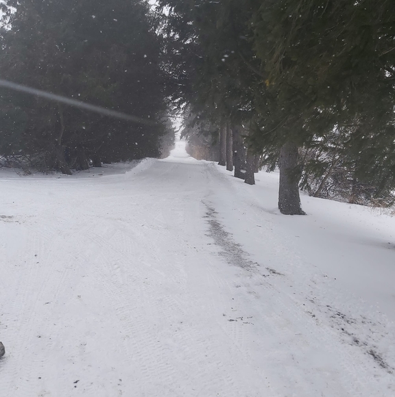 Meet your Posher, Samantha - Picture 1 of 1